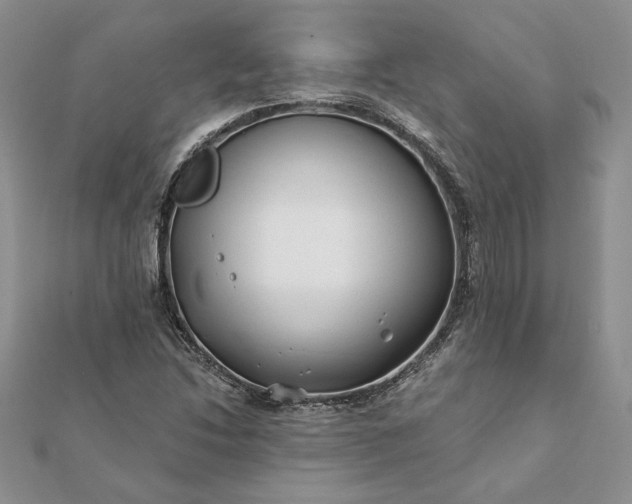 X0000112061214200908181150