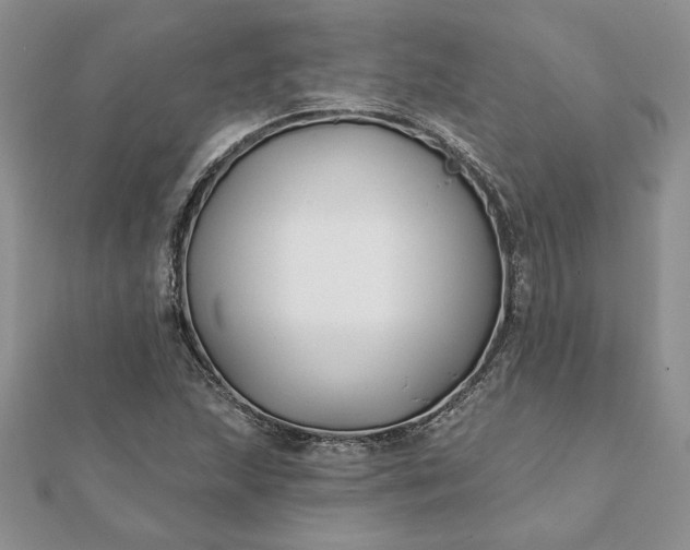 X0000112061215200908181150