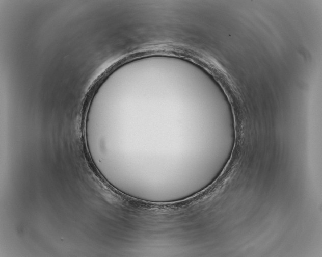 X0000112061216200908181150