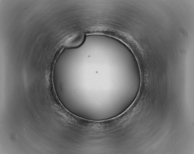 X0000112061217200908181150