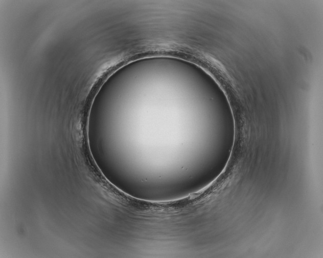 X0000112061218200908181150