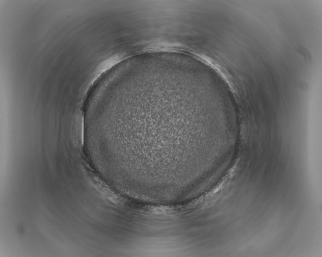 X0000112061219200908181150