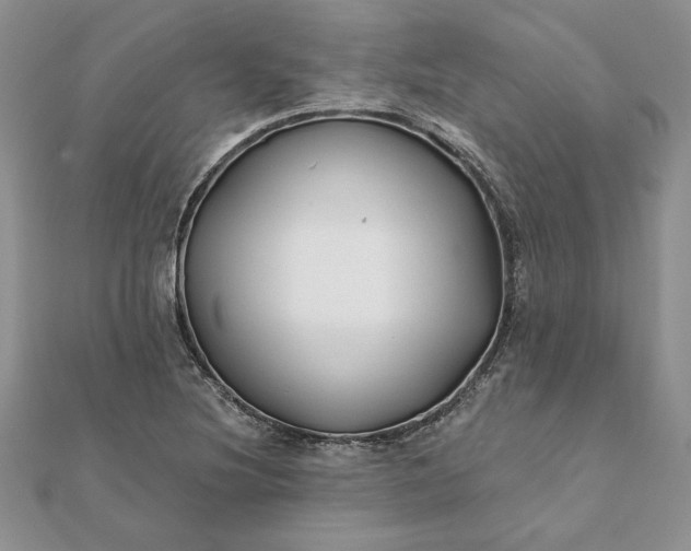 X0000112061220200908181150