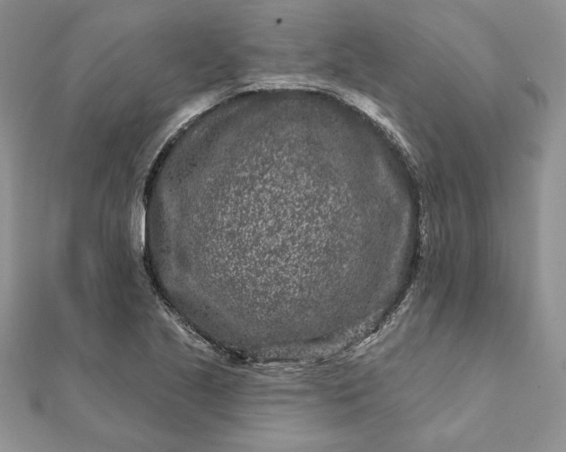 X0000112061221200908181151