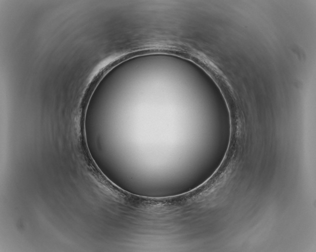 X0000112061222200908181151