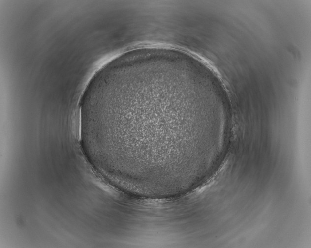 X0000112061223200908181151