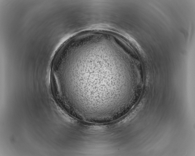 X0000112061224200908181151