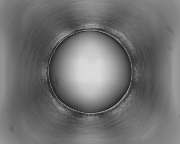 X0000112061225200908181151