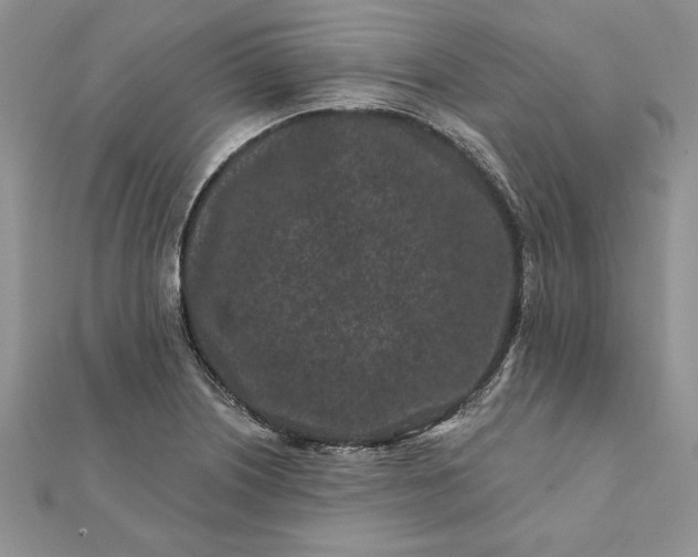 X0000112061226200908181151