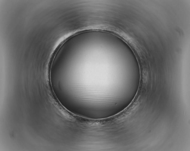 X0000112061230200908181151