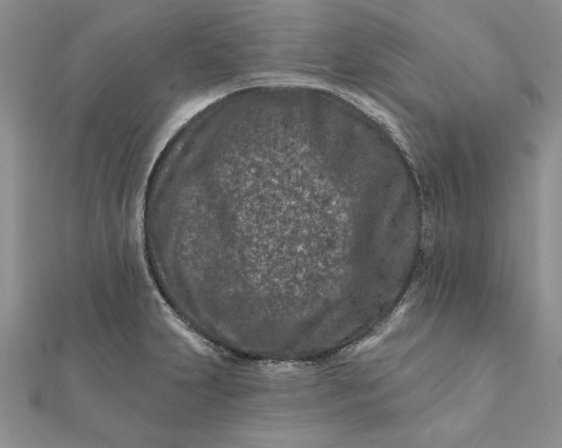 X0000112061231200908181151