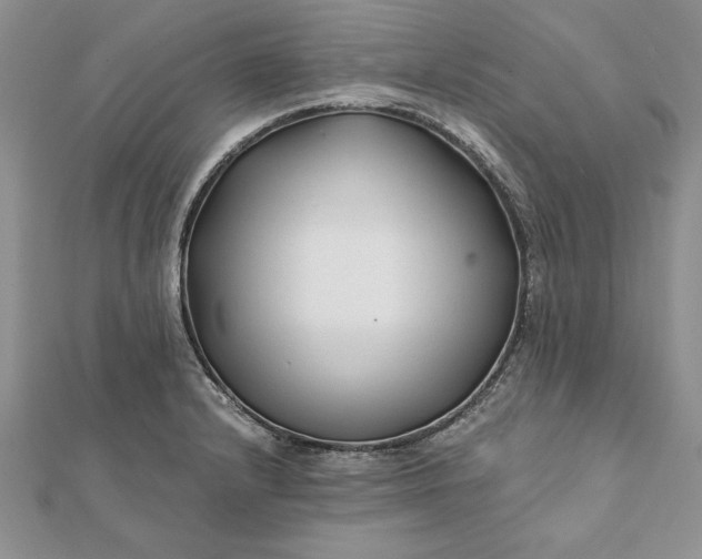 X0000112061232200908181151