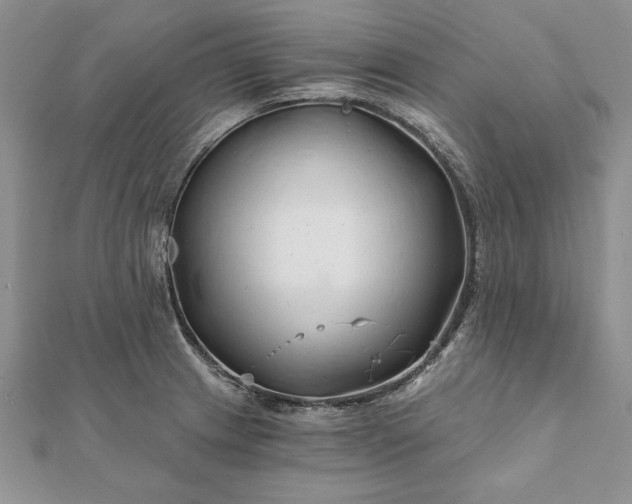 X0000112061233200908181151