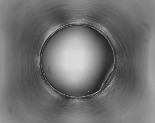 X0000112061234200908181151