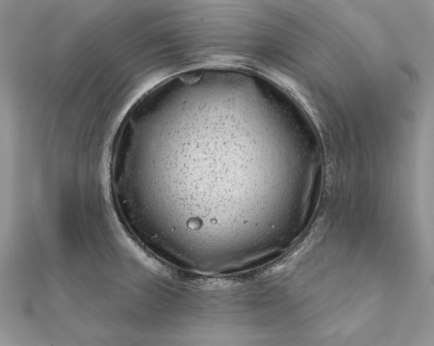 X0000112061235200908181151