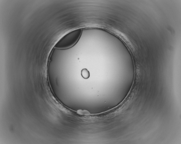 X0000112061236200908181151