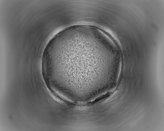 X0000112061237200908181151