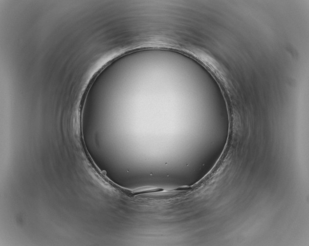 X0000112061238200908181151