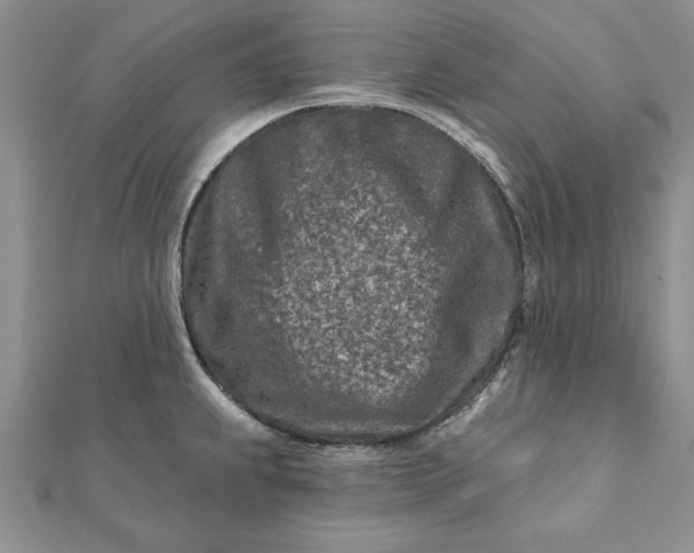 X0000112061239200908181151