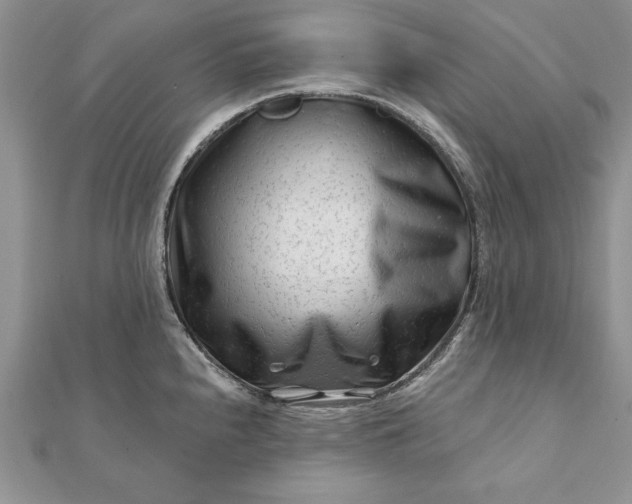 X0000112061240200908181151