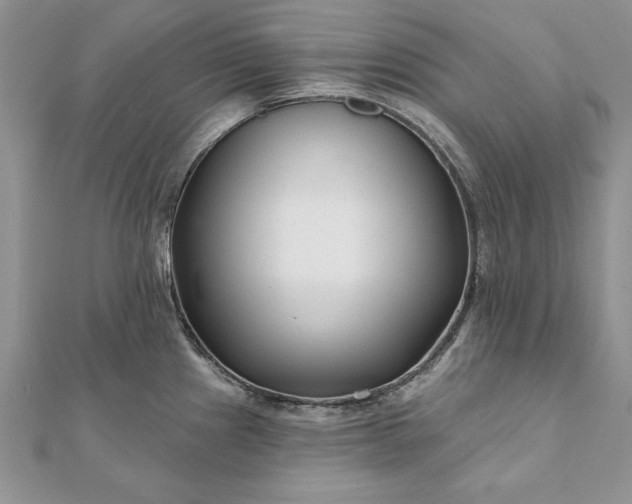 X0000112061241200908181151