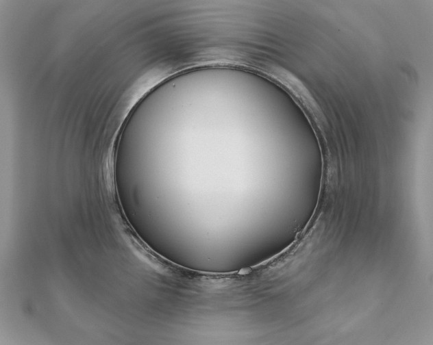 X0000112061242200908181151