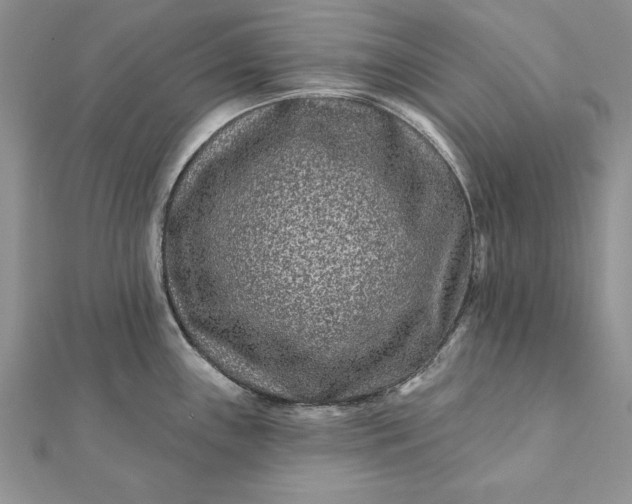 X0000112061243200908181151