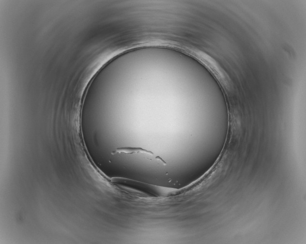 X0000112061244200908181151