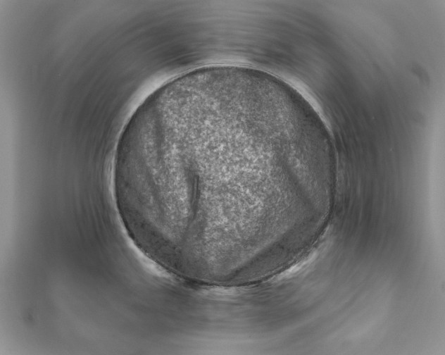 X0000112061245200908181151