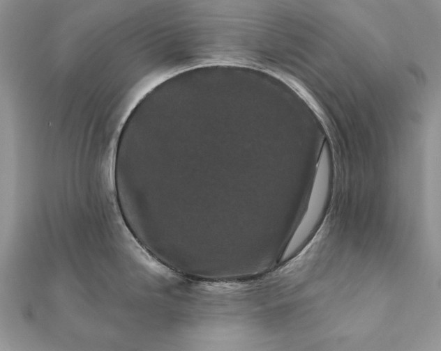 X0000112061246200908181151