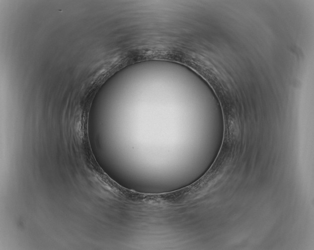 X0000112061250200908181150