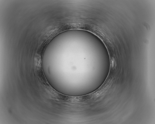 X0000112061251200908181150