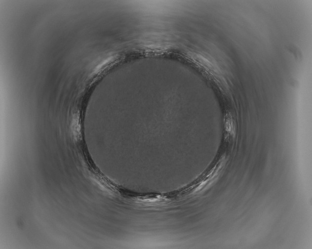 X0000112061252200908181150