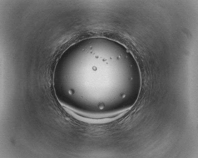 X0000112061253200908181150