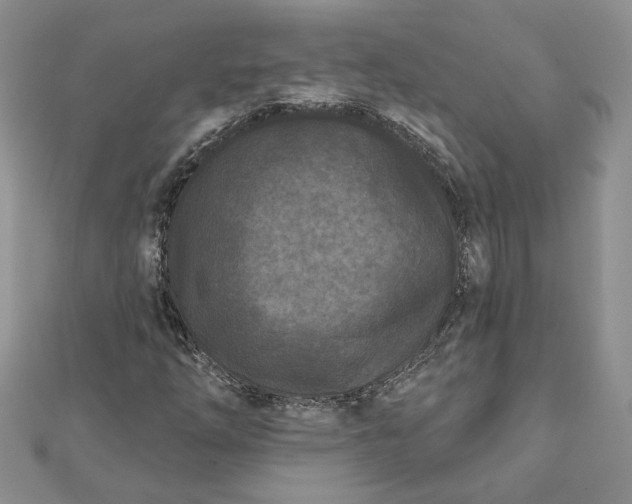 X0000112061254200908181150