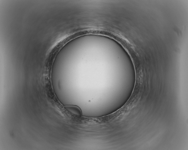 X0000112061255200908181150