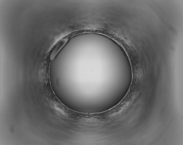 X0000112061256200908181150