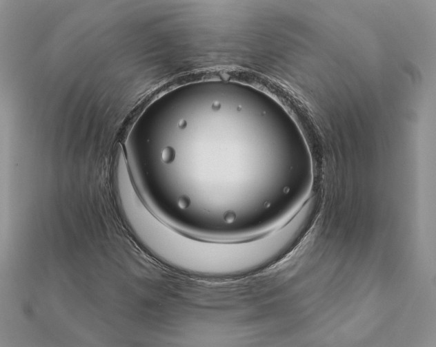 X0000112061257200908181150