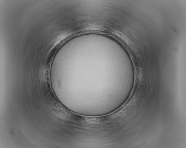 X0000112061258200908181150