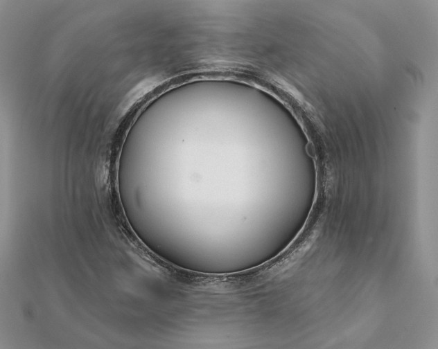 X0000112061259200908181150