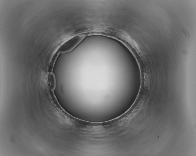 X0000112061260200908181150