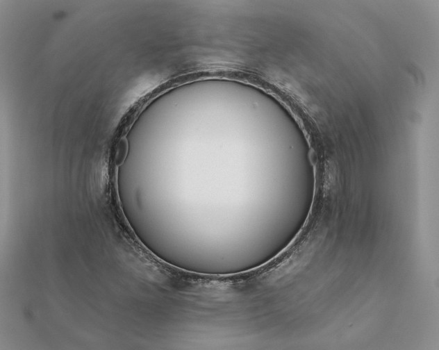 X0000112061261200908181150