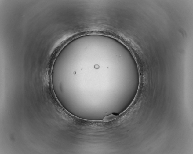 X0000112061262200908181150