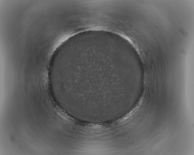 X0000112061263200908181150