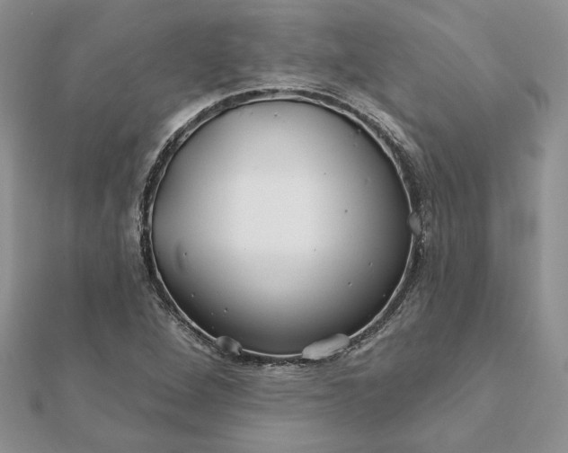 X0000112061264200908181150