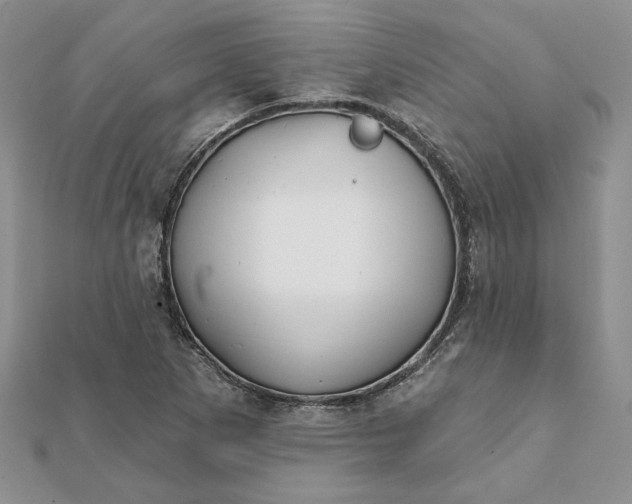 X0000112061265200908181150