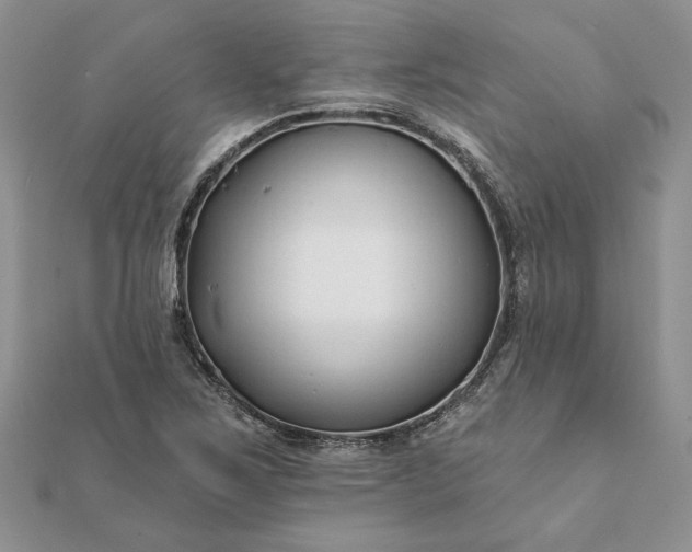 X0000112061267200908181150