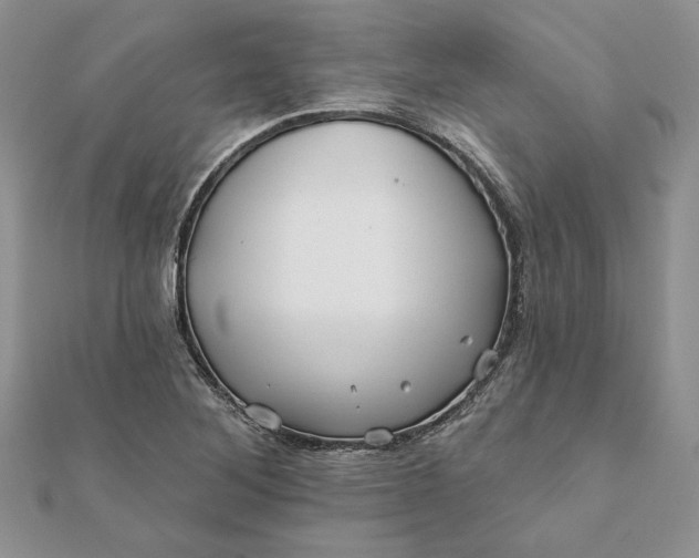 X0000112061268200908181150