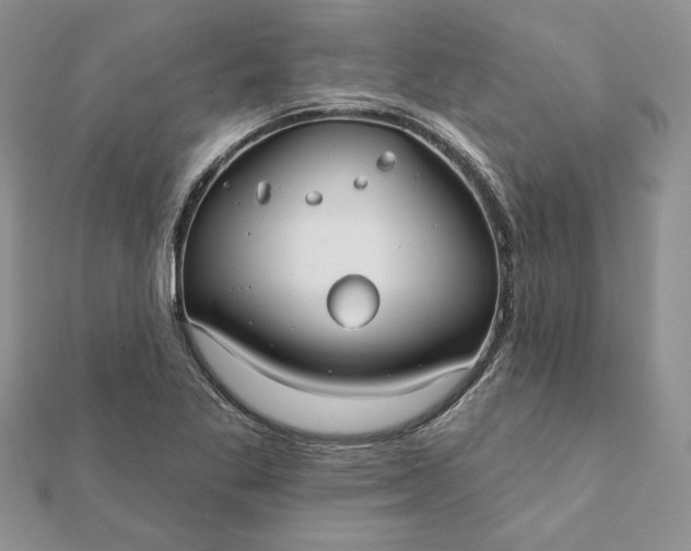 X0000112061269200908181150