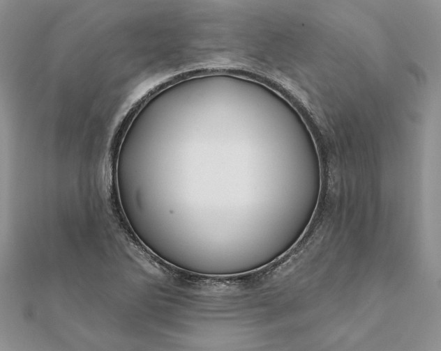 X0000112061270200908181150